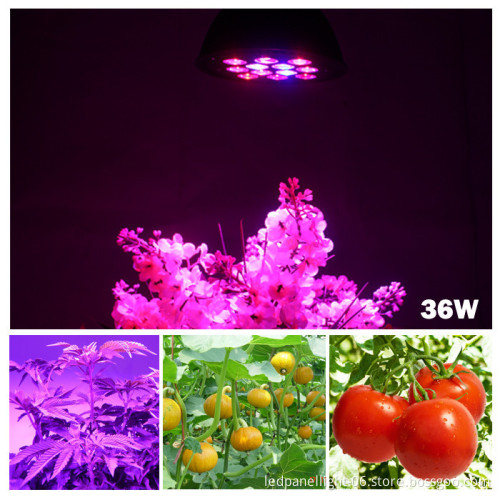 Led hydroponic 36w plant lights good for mini plants indoor growing small pot cheapest led grow par light